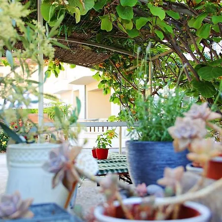 Navita Apartment Trogir